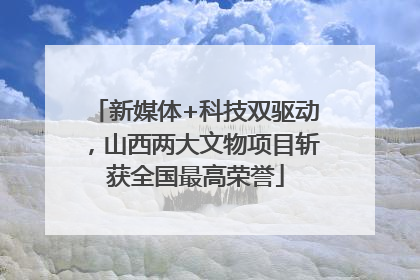 新媒体+科技双驱动，山西两大文物项目斩获全国最高荣誉