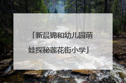 新晨锦和幼儿园萌娃探秘莲花街小学