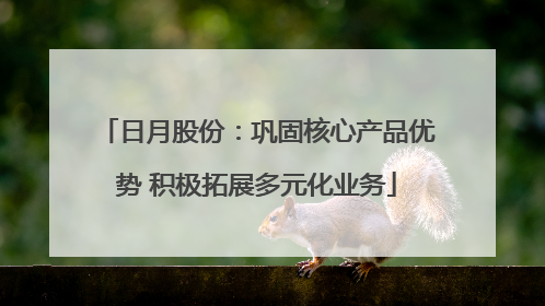 日月股份：巩固核心产品优势 积极拓展多元化业务