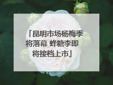 昆明市场杨梅季将落幕 蜂糖李即将接档上市