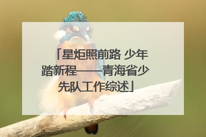 星炬照前路 少年踏新程——青海省少先队工作综述