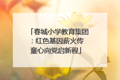 春城小学教育集团：红色基因薪火传 童心向党启新程