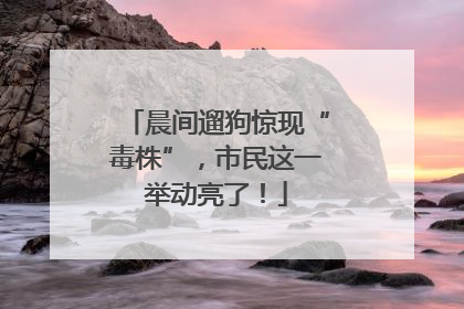 晨间遛狗惊现“毒株”，市民这一举动亮了！