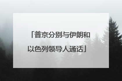 普京分别与伊朗和以色列领导人通话