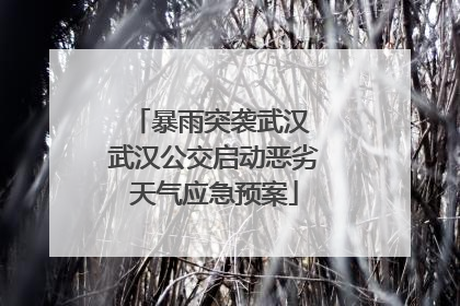 暴雨突袭武汉 武汉公交启动恶劣天气应急预案