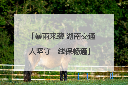 暴雨来袭 湖南交通人坚守一线保畅通