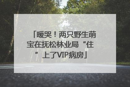 暖哭！两只野生萌宝在抚松林业局“住”上了VIP病房