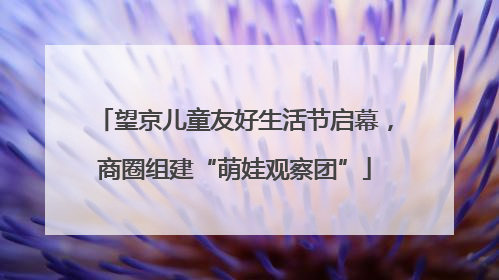 望京儿童友好生活节启幕，商圈组建“萌娃观察团”