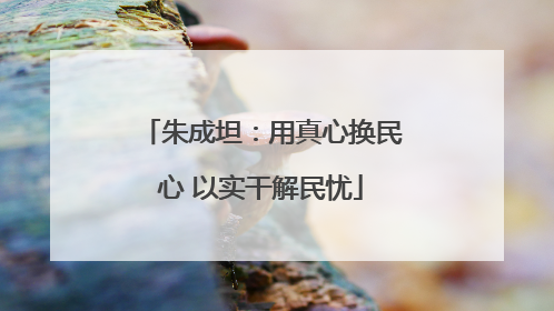 朱成坦：用真心换民心 以实干解民忧
