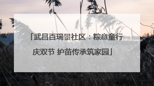 武昌百瑞景社区：粽意童行庆双节 护苗传承筑家园