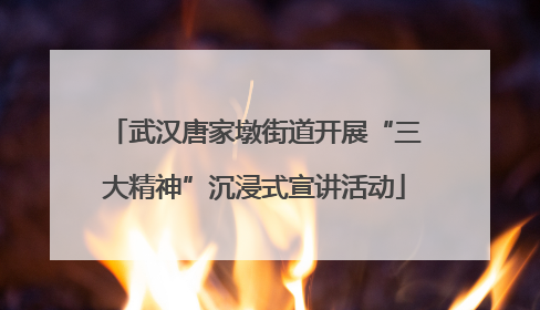 武汉唐家墩街道开展“三大精神”沉浸式宣讲活动
