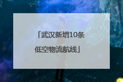 武汉新增10条低空物流航线