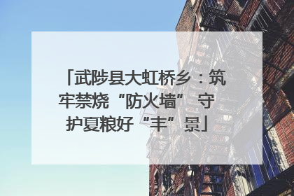 武陟县大虹桥乡：筑牢禁烧“防火墙” 守护夏粮好“丰”景