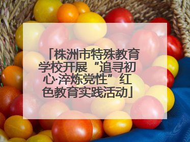 株洲市特殊教育学校开展“追寻初心·淬炼党性”红色教育实践活动