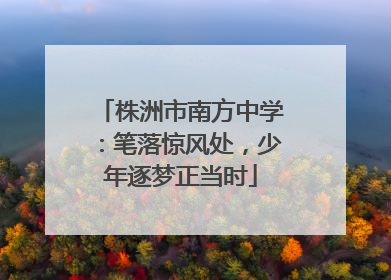 株洲市南方中学：笔落惊风处，少年逐梦正当时