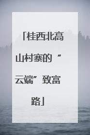 桂西北高山村寨的“云端”致富路