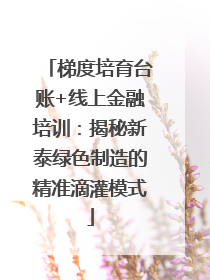 梯度培育台账+线上金融培训：揭秘新泰绿色制造的精准滴灌模式