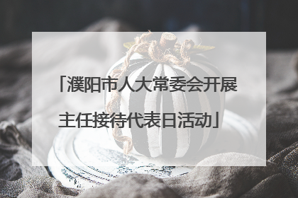 濮阳市人大常委会开展主任接待代表日活动