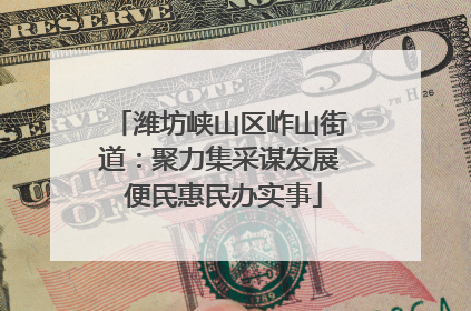 潍坊峡山区岞山街道：聚力集采谋发展 便民惠民办实事
