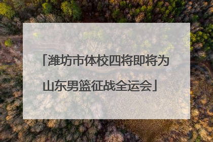 潍坊市体校四将即将为山东男篮征战全运会