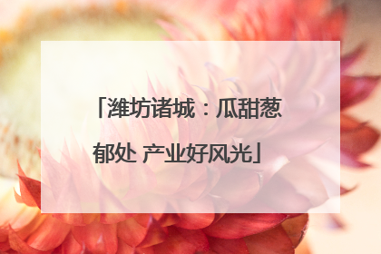 潍坊诸城：瓜甜葱郁处 产业好风光