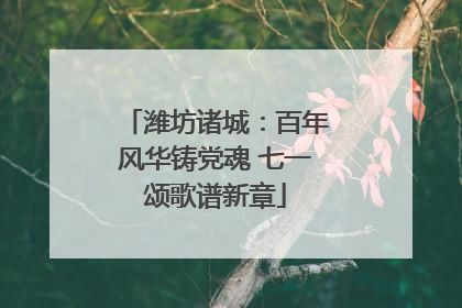 潍坊诸城：百年风华铸党魂 七一颂歌谱新章