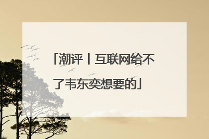 潮评丨互联网给不了韦东奕想要的