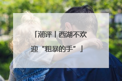 潮评丨西湖不欢迎“粗暴的手”