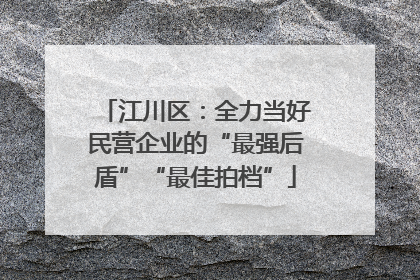江川区：全力当好民营企业的“最强后盾”“最佳拍档”