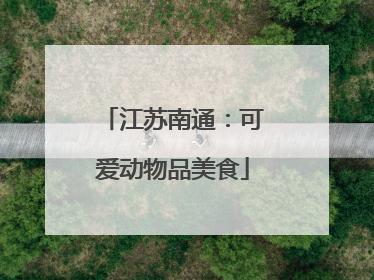 江苏南通：可爱动物品美食