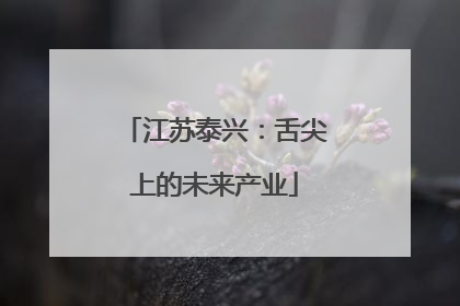 江苏泰兴：舌尖上的未来产业