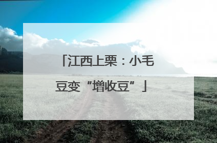 江西上栗：小毛豆变“增收豆”