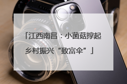 江西南昌：小菌菇撑起乡村振兴“致富伞”