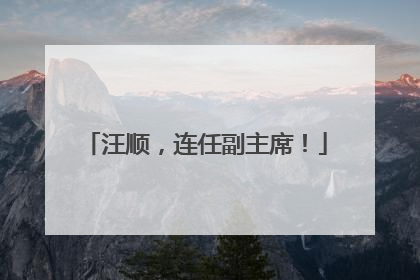 汪顺，连任副主席！