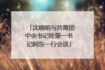 沈晓明与共青团中央书记处第一书记阿东一行会谈