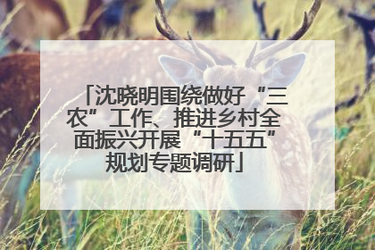 沈晓明围绕做好“三农”工作、推进乡村全面振兴开展“十五五”规划专题调研
