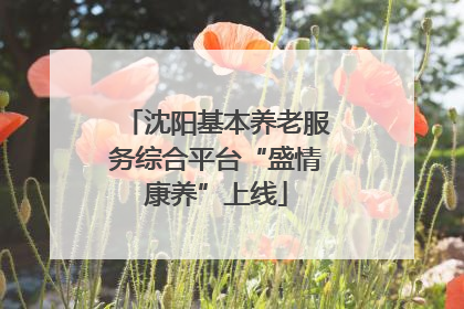 沈阳基本养老服务综合平台“盛情康养”上线
