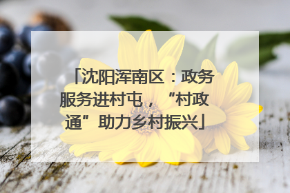 沈阳浑南区：政务服务进村屯，“村政通”助力乡村振兴