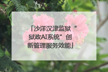 沙洋汉津监狱“狱政AI系统”创新管理服务效能
