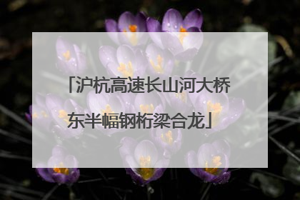 沪杭高速长山河大桥东半幅钢桁梁合龙