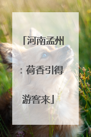 河南孟州：荷香引得游客来