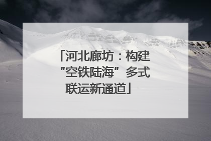 河北廊坊：构建“空铁陆海”多式联运新通道