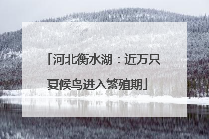 河北衡水湖：近万只夏候鸟进入繁殖期