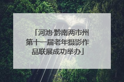 河池·黔南两市州第十一届老年摄影作品联展成功举办