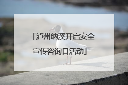 泸州纳溪开启安全宣传咨询日活动