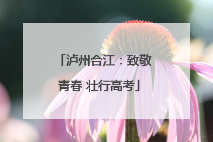 泸州合江：致敬青春 壮行高考