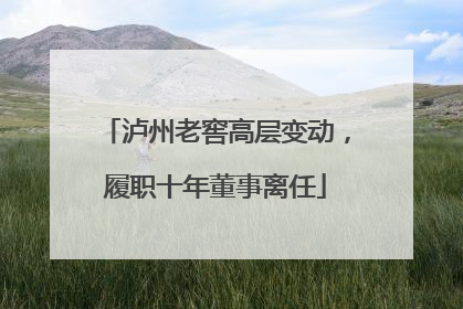 泸州老窖高层变动，履职十年董事离任