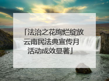 法治之花绚烂绽放 云南民法典宣传月活动成效显著
