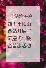 法治+护路！平顶山西站开展“沉浸式”联合普法活动