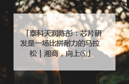 泰科天润陈彤：芯片研发是一场比拼耐力的马拉松｜湘商，向上⑤